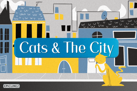 Cats and the City Typeface: A Maker’s Review for Labels and Packaging
