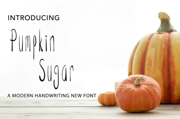 Pumpkin Sugar: A Designer’s Honest Review